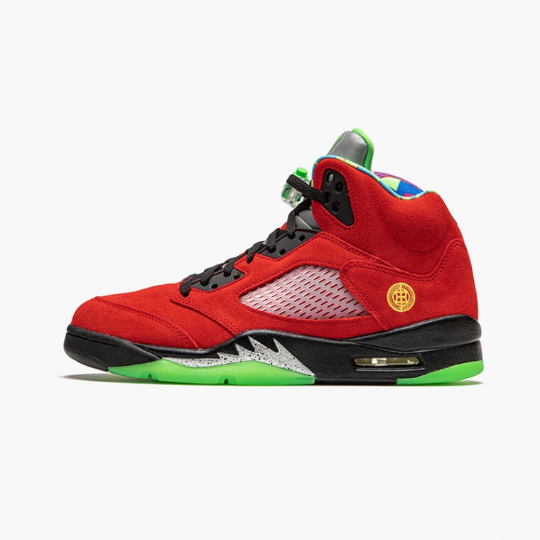 AIR JORDAN 5 what the